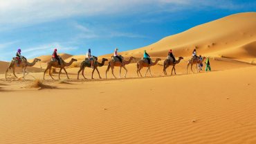 Dubai Desert Safari: Everything You Need to Know Before You Go