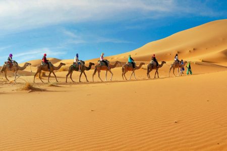 Dubai Desert Safari: Everything You Need to Know Before You Go