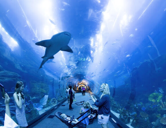 Dubai Aquarium