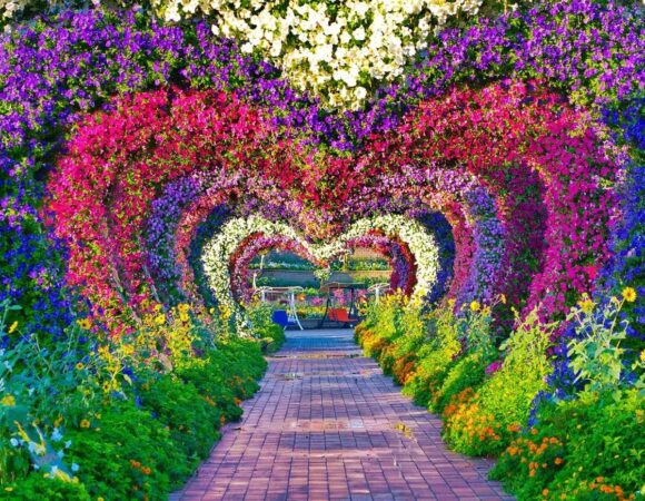 Dubai Miracle Garden