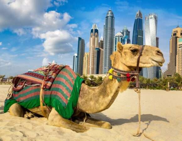 Dubai Heritage & Cultural Tour - Private Tour