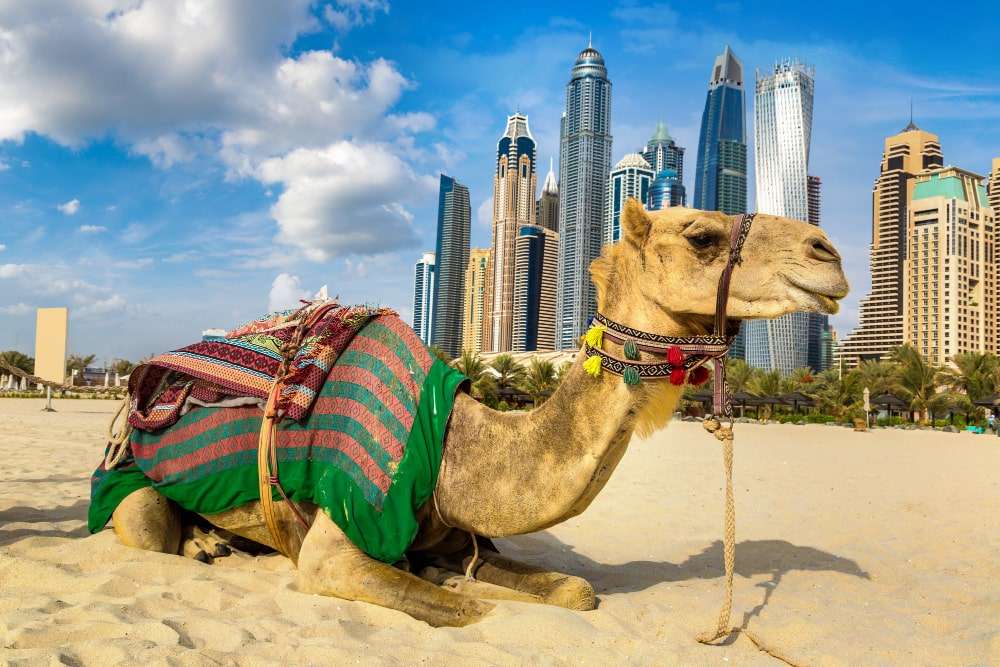 Dubai Heritage & Cultural Tour - Private Tour