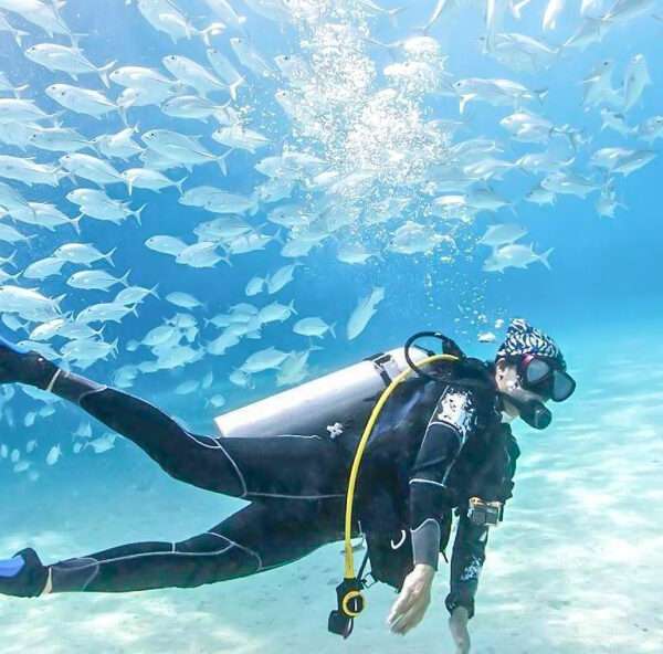 Scuba Diving At Jumeirah Beach 30 Min Session