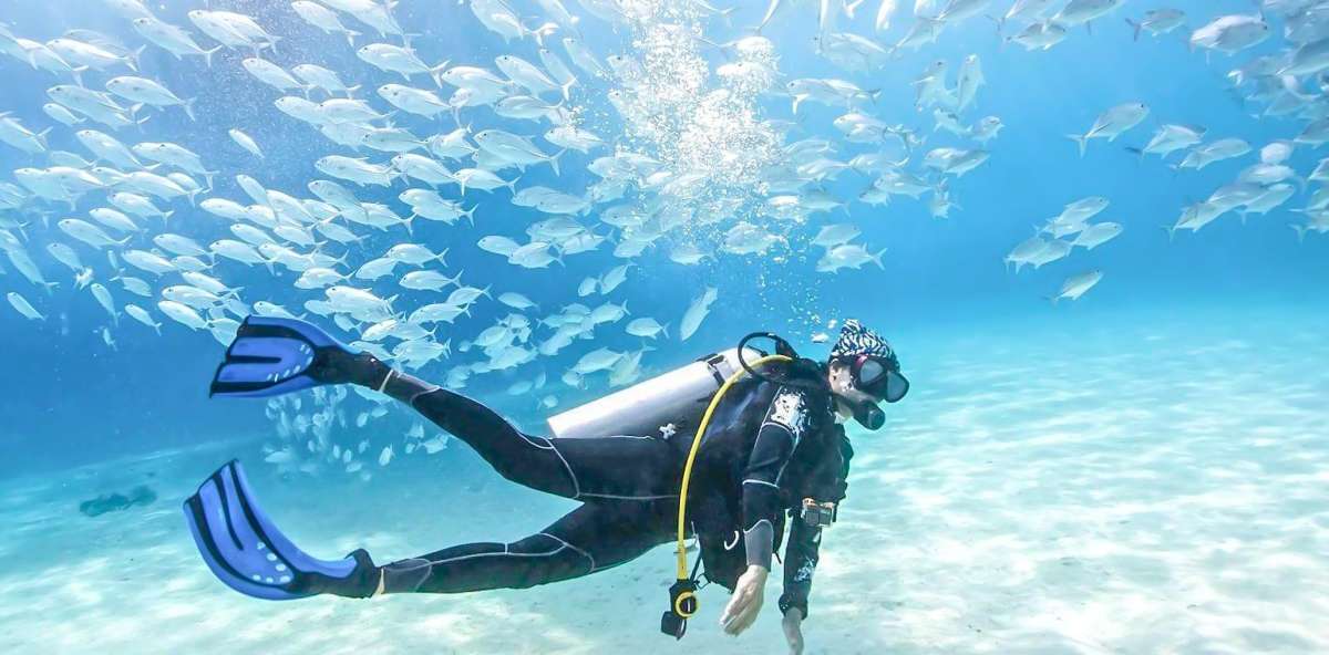 Scuba Diving At Jumeirah Beach 30 Min Session