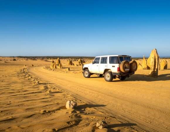 Desert Safari With Museum Of Future