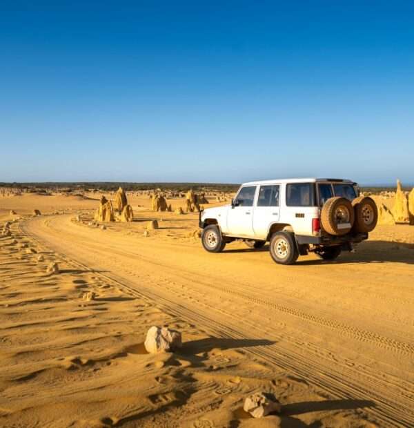 Desert Safari With Museum Of Future