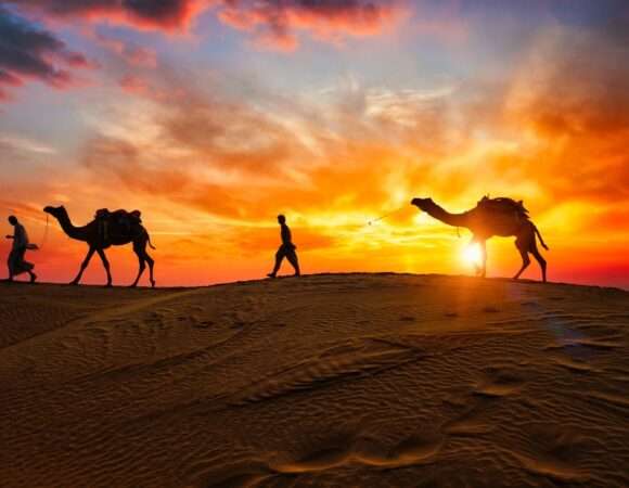 Desert Safari With Half Day Dubai City Tour