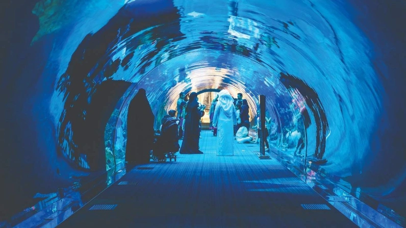 Burj Khalifa and Dubai Aquarium Combo Tickets