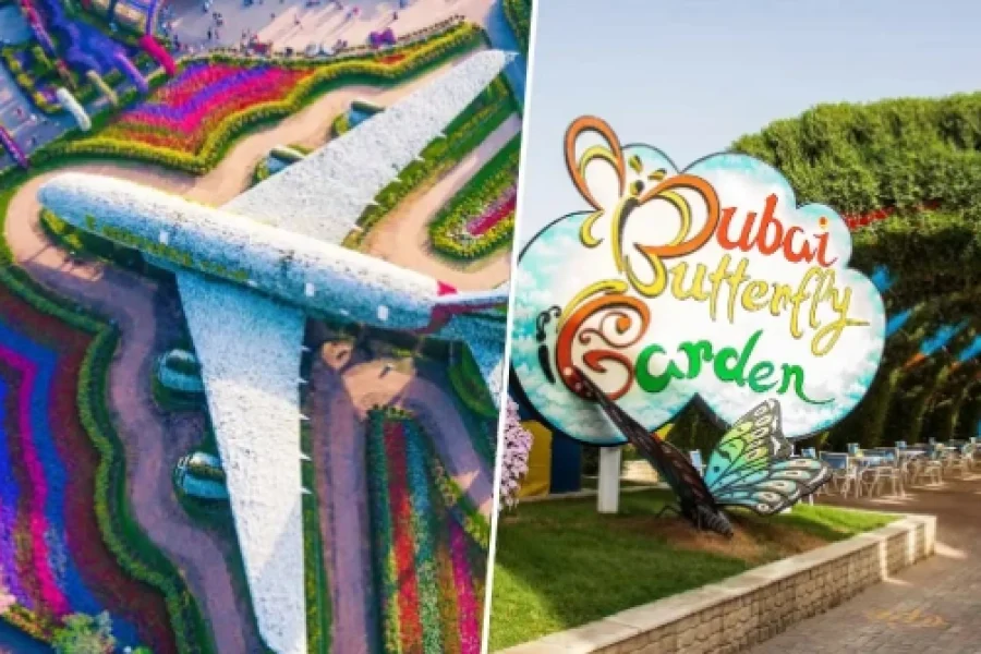 Dubai Miracle Garden and Butterfly Garden Combo Tickets