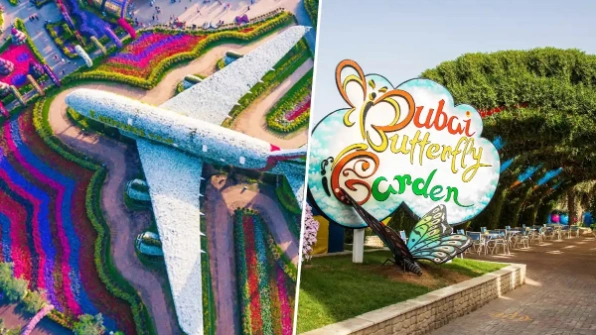 Dubai Miracle Garden and Butterfly Garden Combo Tickets