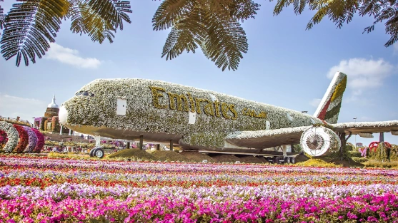 Dubai Miracle Garden and Butterfly Garden Combo Tickets
