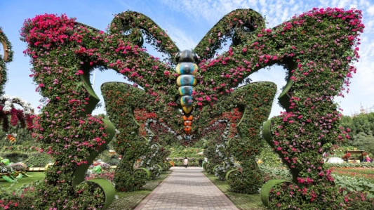 Dubai Miracle Garden and Butterfly Garden Combo Tickets