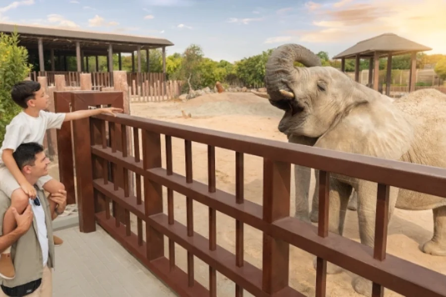 Dubai Safari Park Tickets