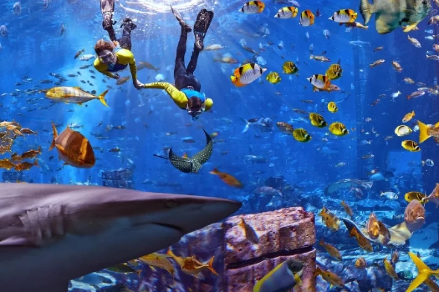 Lost World Aquarium Tickets, Atlantis The Palm Dubai