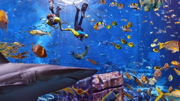 Lost World Aquarium Tickets, Atlantis The Palm Dubai