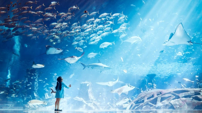 Lost World Aquarium Tickets, Atlantis The Palm Dubai