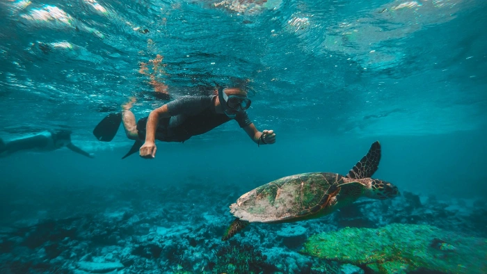 Musandam Dibba Tour from Dubai