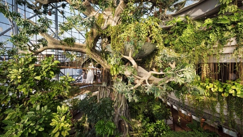 The Green Planet Dubai Tickets